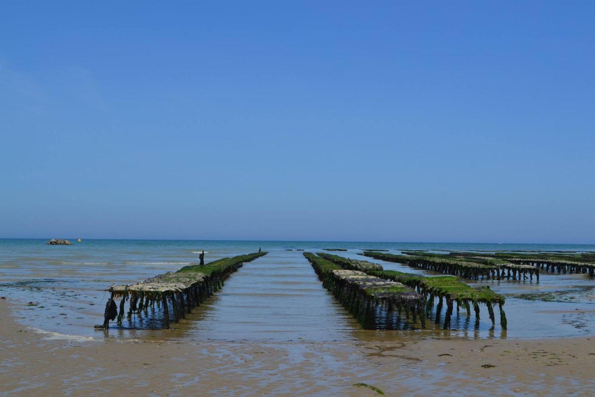 Nid De Pie Grand Duplex Lumineux Cadre Verdoyant Calme A 5 Mn De La Mer Pres Port En Bessin, Bayeux, Omaha Beach, Commes ภายนอก รูปภาพ